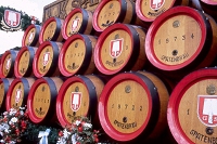 Spatenbraeu Horse Car